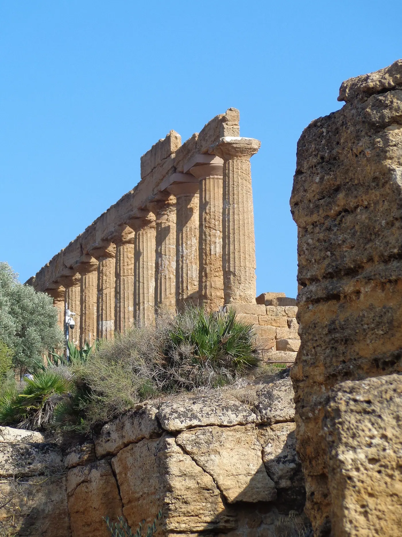 Il Tempio di Giunone fra la vegetazione primaverile