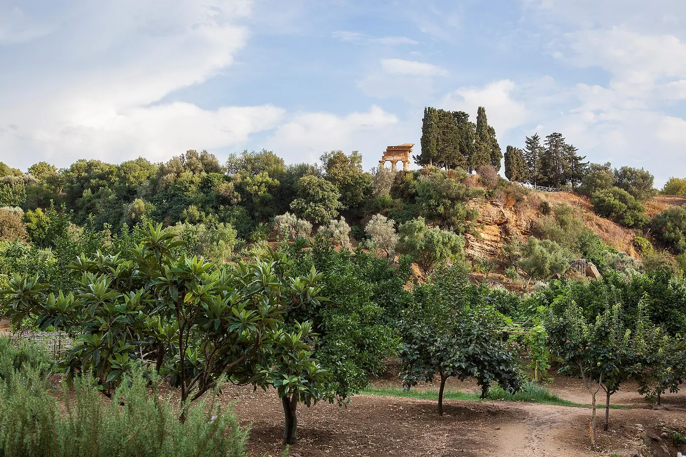 Agrumi e mandorli nel giardino della Kolymbethra, dentro la Valle dei Templi